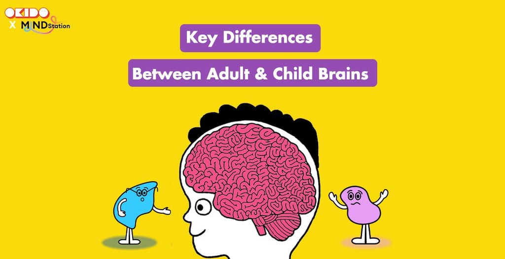 Brain development: Understanding Key Differences Between Adult and Child Brains
