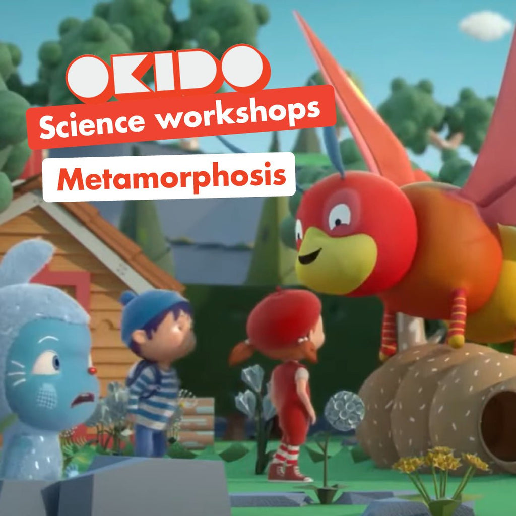 Metamorphosis Science Workshop for Kids | OKIDO – Okido